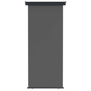 vidaXL Balkon Seitenmarkise 60 x 250 cm 100% Polyester Eisen Stahl
