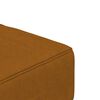 vidaXL Schlafsofa 2-Sitzer mit 2 Kissen Braun Samt