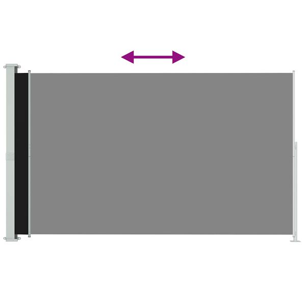 vidaXL Seitenmarkise Ausziehbar 220x300 cm Schwarz