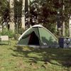 vidaXL Kuppel-Campingzelt 2 Personen Gr&uuml;n Wasserdicht