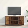 vidaXL TV-Schr&auml;nk Altholz 100 x 40 x 50 cm Holzwerkstoff