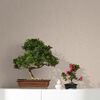 Noordwand Tapete Botanica Linnen Look Dunkelbeige und Sand