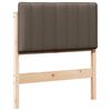 Brown_and_taupe