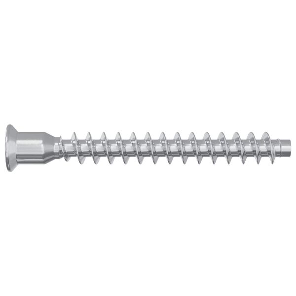 vidaXL Confirmat-Schrauben 12 pcs Silber &Oslash;7 x 58 mm Metall