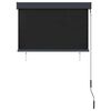 vidaXL Au&szlig;enrollo 100 x 250 cm Anthrazit