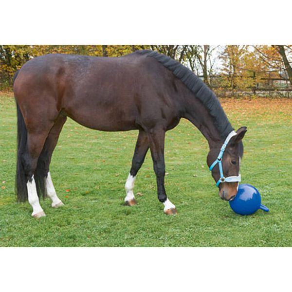 Kerbl Pferde-Spielball Blau 25 cm 32399