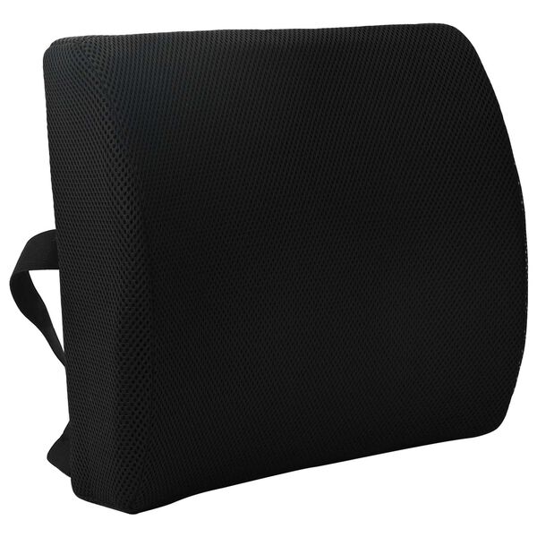 vidaXL R&uuml;cken Kissen mit Kissen Schwarz 35,5 x 30 x 12 cm Mit Netz