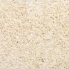 vidaXL Stufenmatten 10 Stk. 56x17x3 cm Creme Halbrund