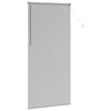 vidaXL Fensterjalousie mit Vorh&auml;ngen Silber Aluminium