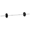 vidaXL Langhantel und Kurzhantel Set 30 kg Gusseisen