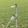 Produkt-Miniaturbild 4 von 15