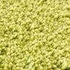 vidaXL Rutschfeste Badmatte Gr&uuml;n 70 x 120 cm PP