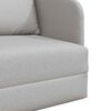 vidaXL Schlafsofa Wolkengrau 65 x 80 x 83 cm Samt