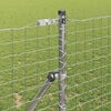 Produkt-Miniaturbild 3 von 9