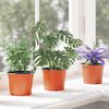 vidaXL Blumentopf 100 pcs Terrakotta &Oslash; 15 x 12,5 cm Kunststoff