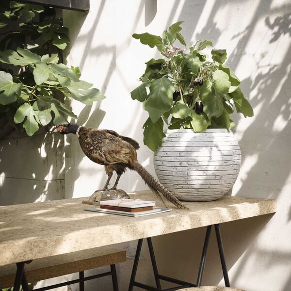 Capi Blumenk&uuml;bel Nature Row Kugel 40x32 cm Elfenbein KRWI270