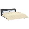 vidaXL Sommerdecke Creme 200 x 220 cm Mikrofaser und Teddy-Fleece