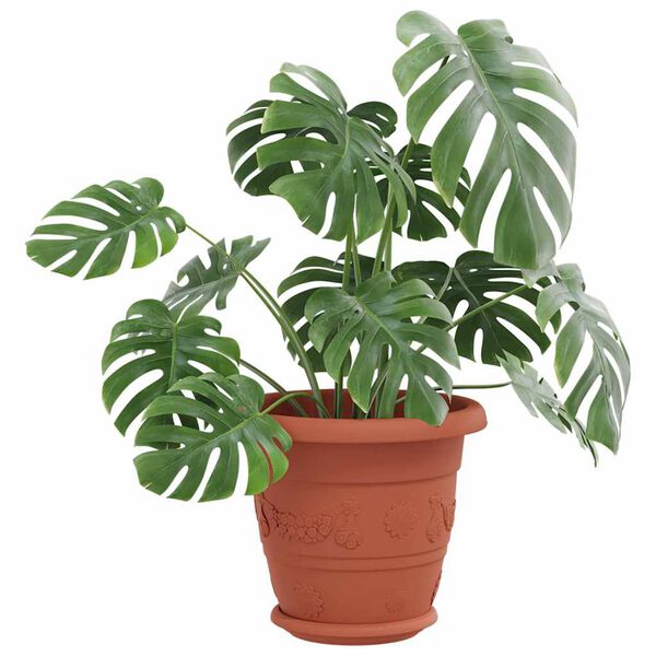 vidaXL Runde Blumenplatte 6 pcs Ziegelrot &Oslash; 17,5 x 2 cm Kunststoff