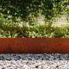 vidaXL Raseneinfassung 50 pcs Braun 100 x 0,05 x 20 cm Wetterfeststahl