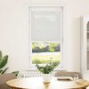 vidaXL Plissee Hellgrau 60x100 cm Stoffbreite 59,4 cm Polyester