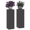 vidaXL Pflanzenst&auml;nder 2 pcs Schwarz 24 x 24 x 75 cm Stahl