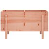 vidaXL Hochbeet 101x50x57 cm Massivholz Douglasie