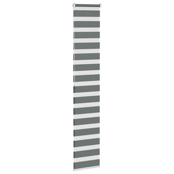 vidaXL Doppelrollo Dunkelgrau 45x200 cm Stoffbreite 40,9 cm Polyester