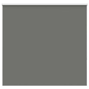 vidaXL Verdunkelungsrollo Grau 165x130cm Stoffbreite 161,6cm Polyester