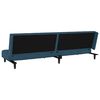 vidaXL Schlafsofa 2-Sitzer Schwarz Samt