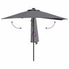 vidaXL Garten-Sonnenschirm Anthrazit 294 x 150 x 224 cm