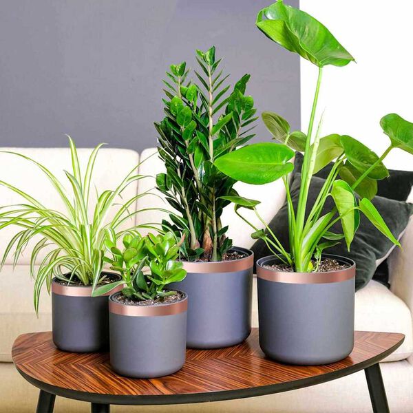 vidaXL Kupferband 6 pcs Kupfer 2000 x 3 cm Kupfer