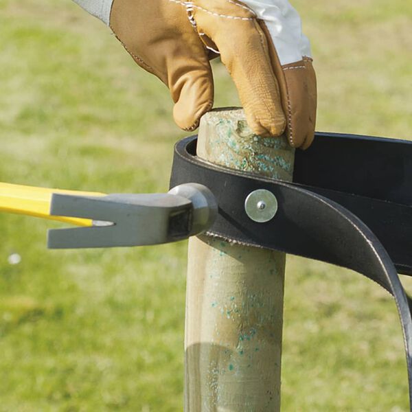 Nature Baumband-N&auml;gel 40x20 mm 100 Stk.