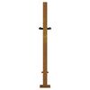 vidaXL Gartentor 100x75 cm Cortenstahl Gras-Design