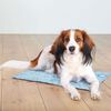 TRIXIE Hunde-K&uuml;hlmatte M 50x40 cm Hellblau