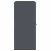 vidaXL Aufbewahrungsschrank Anthrazit 80 x 40 x 90 cm Stahl