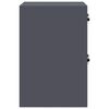 vidaXL Aktenschrank Anthrazit 44 x 50 x 106,5 cm Kaltgewalzter Stahl