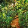 Komar Fototapete Jungle Trail 368&times;254 cm