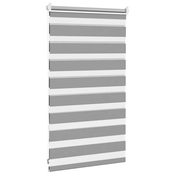 vidaXL Doppelrollo 50 x 100 cm grau