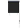 vidaXL Au&szlig;enrollo 60 x 250 cm Anthrazit