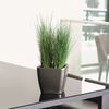 LECHUZA Blumentopf QUADRO LS 35 ALL-IN-ONE Set Anthrazit 16163