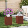 vidaXL Pflanzenst&auml;nder 2 pcs Rostig 24 x 24 x 35 cm Wetterfeststahl