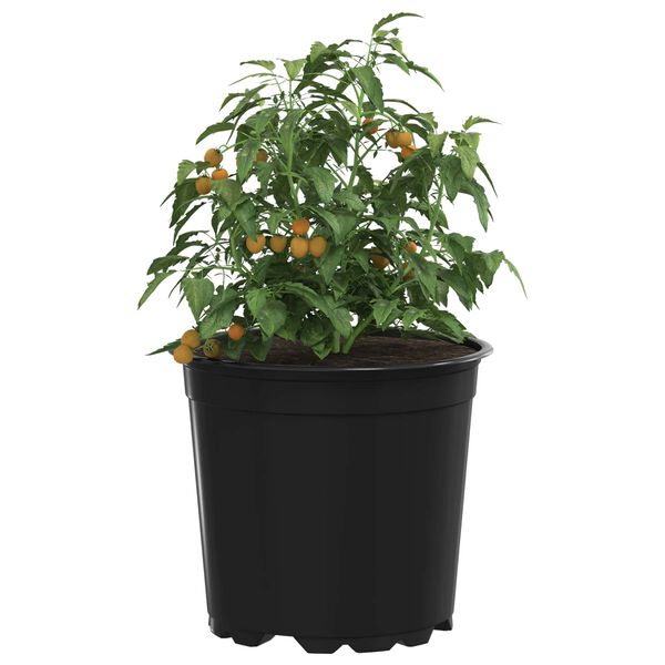 vidaXL Blumentopf 100 pcs Schwarz &Oslash; 15 x 13 cm Kunststoff