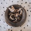 DISTRICT70 3-in-1 zusammenklappbares Katzenbett Labyrinth aus Karton