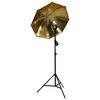 vidaXL Fotostudio-Set mit Lampen, Schirmen, Hintergrund, Reflektor