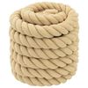 vidaXL Bootsseil 10 m 3 Natur PP