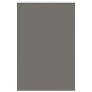 vidaXL Verdunkelungsrollo Grau 165x210cm Stoffbreite 161,6cm Polyester