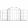 vidaXL Gabionen mit Hochbogen 20 Stk. 200x30x80/100cm Verzinktes Eisen