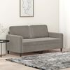 vidaXL 2-Sitzer-Sofa Hellgrau 140 cm Samt