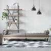 vidaXL Schlafsofa mit Armlehnen Taupe Stoff