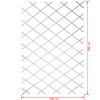 Nature Garten-Rankgitter 100x200 cm PVC Wei&szlig; 6040703